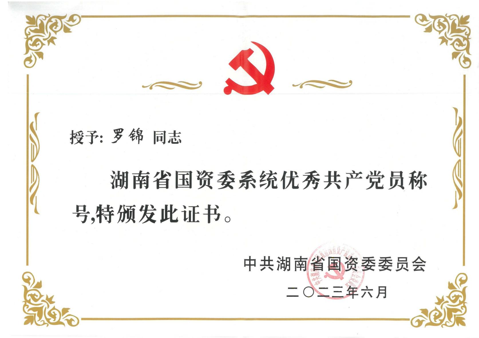 湖南省国资委优秀共产党员-罗锦.jpg